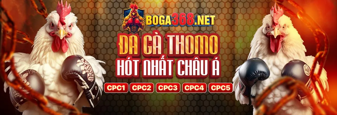 pt888 nhà cái – Ứng dụng di động chính thức